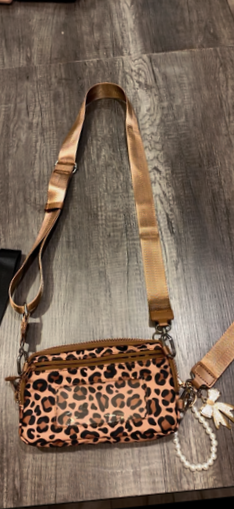 Emmafy Stashy crossbody purse